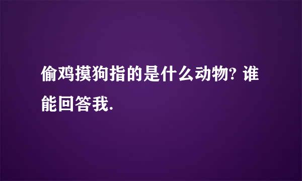 偷鸡摸狗指的是什么动物? 谁能回答我.