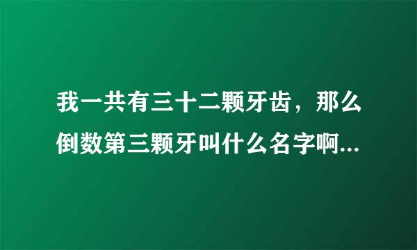 我一共有三十二颗牙齿，那么倒数第三颗牙叫什么名字啊？我上面和下面的这几颗牙全被虫蛀了，