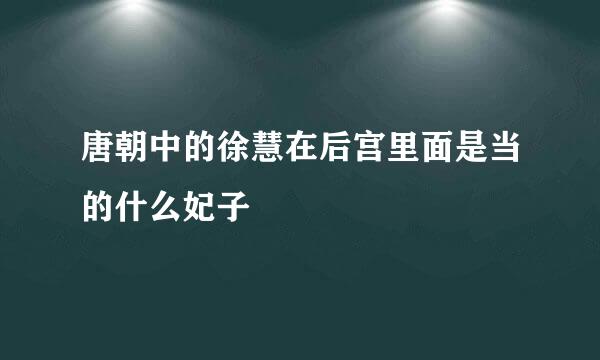 唐朝中的徐慧在后宫里面是当的什么妃子