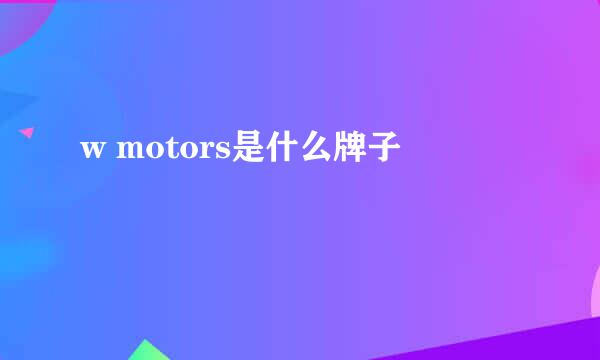 w motors是什么牌子