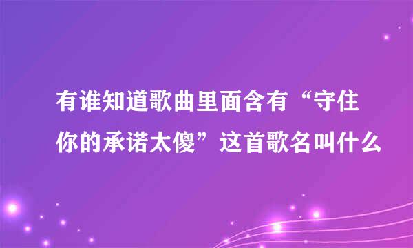 有谁知道歌曲里面含有“守住你的承诺太傻”这首歌名叫什么