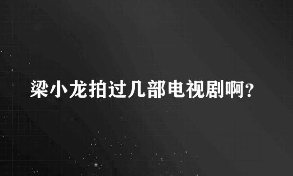 梁小龙拍过几部电视剧啊？