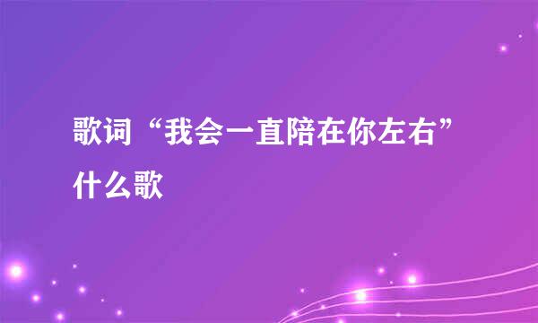 歌词“我会一直陪在你左右”什么歌