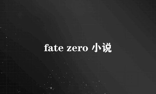 fate zero 小说