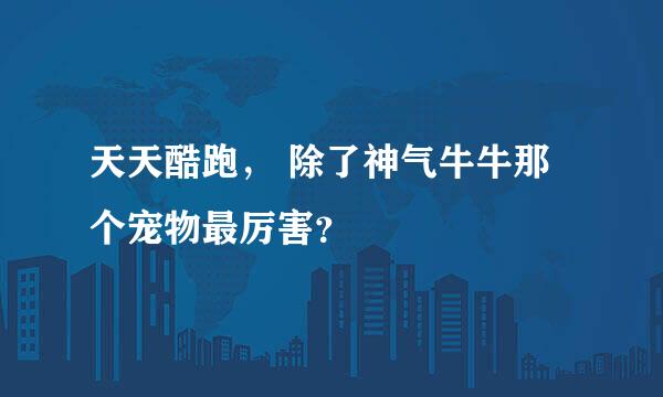 天天酷跑， 除了神气牛牛那个宠物最厉害？