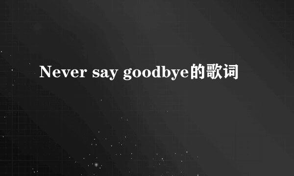 Never say goodbye的歌词