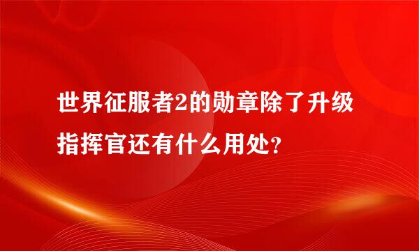 世界征服者2的勋章除了升级指挥官还有什么用处？