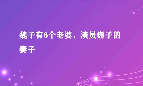 魏子有6个老婆，演员巍子的妻子