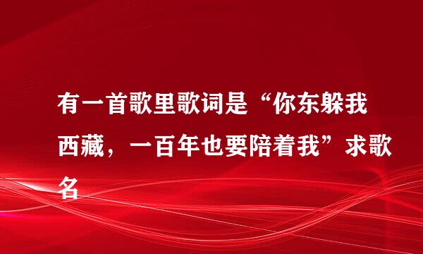 有一首歌里歌词是“你东躲我西藏，一百年也要陪着我”求歌名