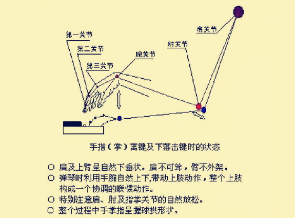 什么是G调、F调、D调等等？在钢琴上怎么弹