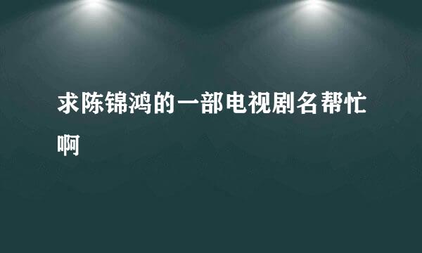 求陈锦鸿的一部电视剧名帮忙啊