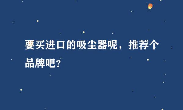 要买进口的吸尘器呢，推荐个品牌吧？