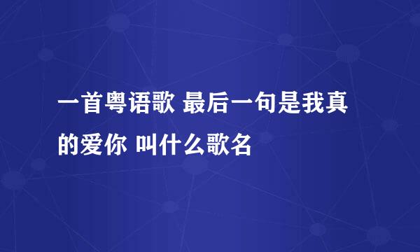 一首粤语歌 最后一句是我真的爱你 叫什么歌名