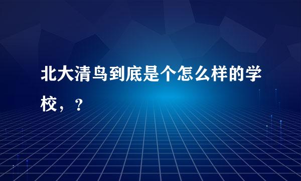 北大清鸟到底是个怎么样的学校，？