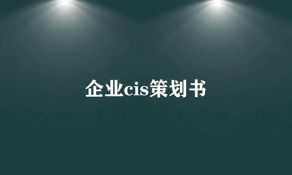 企业cis策划书