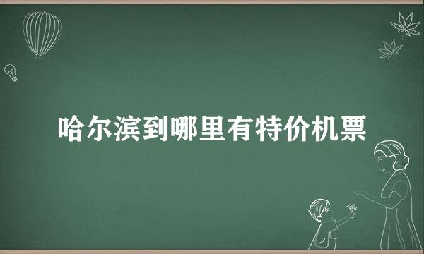 哈尔滨到哪里有特价机票