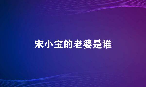 宋小宝的老婆是谁