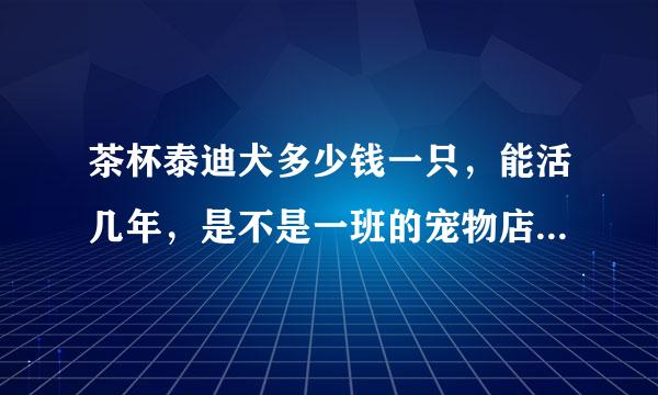 茶杯泰迪犬多少钱一只，能活几年，是不是一班的宠物店就有卖的