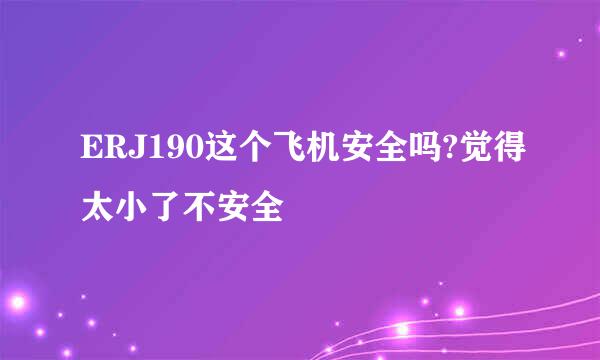 ERJ190这个飞机安全吗?觉得太小了不安全