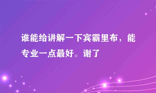 谁能给讲解一下宾霸里布，能专业一点最好。谢了