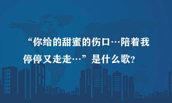 “你给的甜蜜的伤口…陪着我停停又走走…”是什么歌？