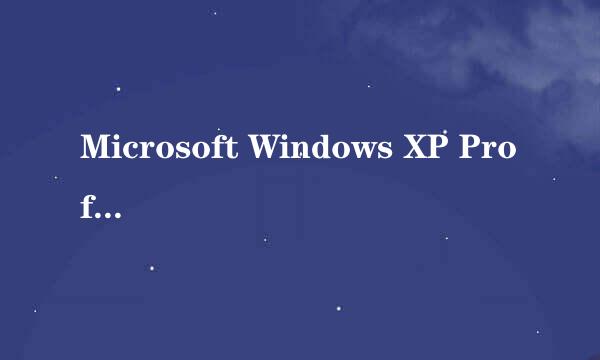 Microsoft Windows XP Professional 版本2002系统