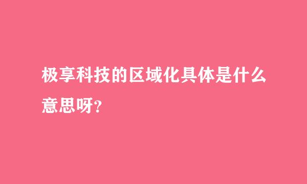 极享科技的区域化具体是什么意思呀？