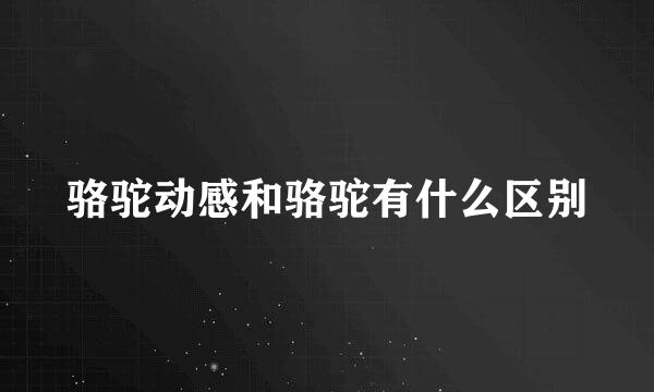 骆驼动感和骆驼有什么区别