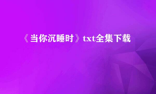 《当你沉睡时》txt全集下载