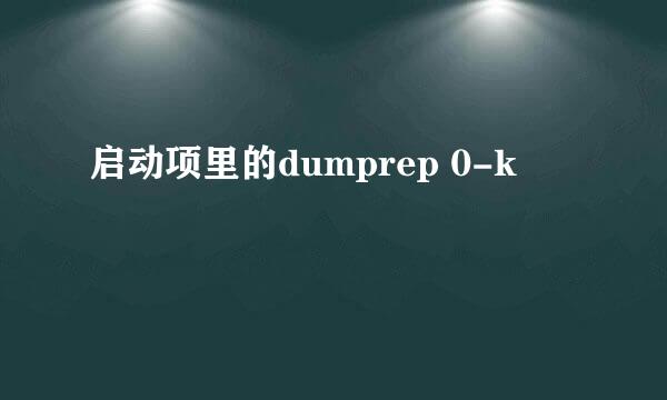 启动项里的dumprep 0-k