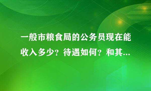 一般市粮食局的公务员现在能收入多少？待遇如何？和其他部门公务员如何比较？