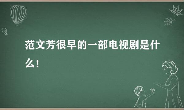 范文芳很早的一部电视剧是什么！