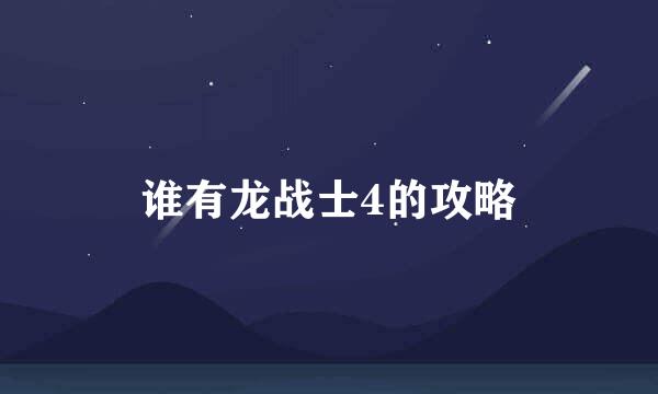 谁有龙战士4的攻略