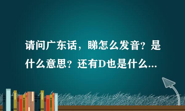 请问广东话，睇怎么发音？是什么意思？还有D也是什么意思呢？