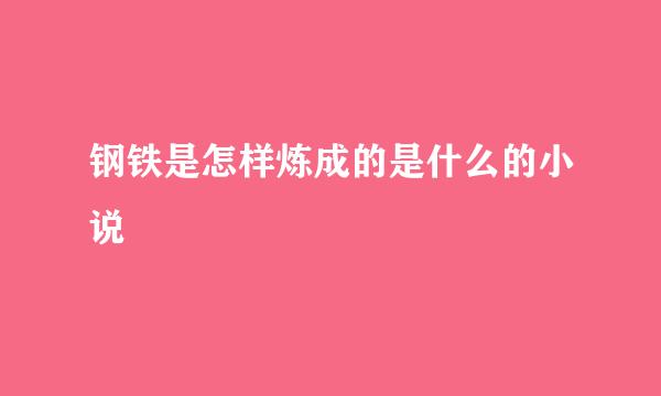 钢铁是怎样炼成的是什么的小说