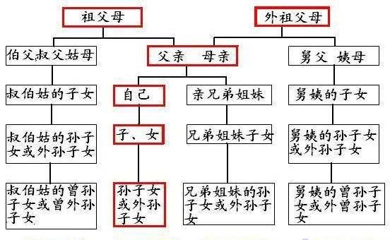 孙子的儿子叫什么？孙子的孙子又叫啥？