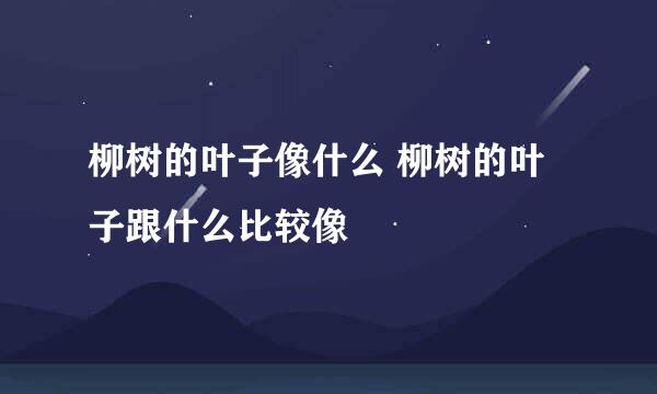 柳树的叶子像什么 柳树的叶子跟什么比较像