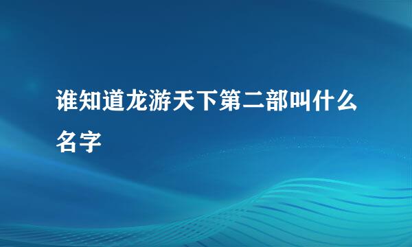 谁知道龙游天下第二部叫什么名字