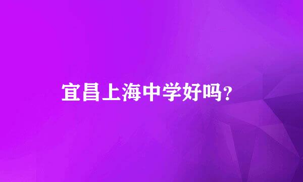 宜昌上海中学好吗？