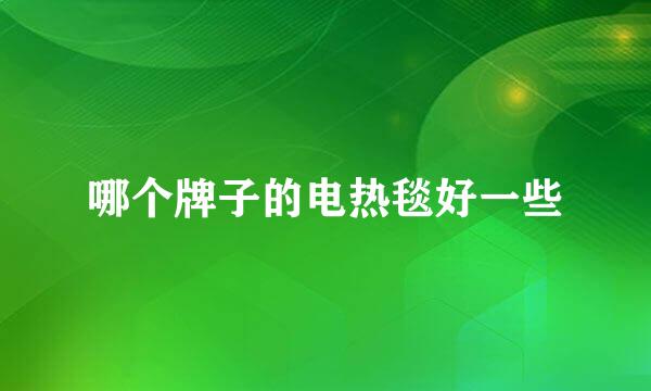 哪个牌子的电热毯好一些