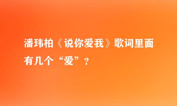 潘玮柏《说你爱我》歌词里面有几个“爱”？