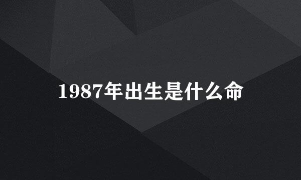 1987年出生是什么命