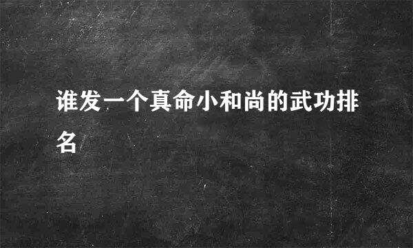 谁发一个真命小和尚的武功排名