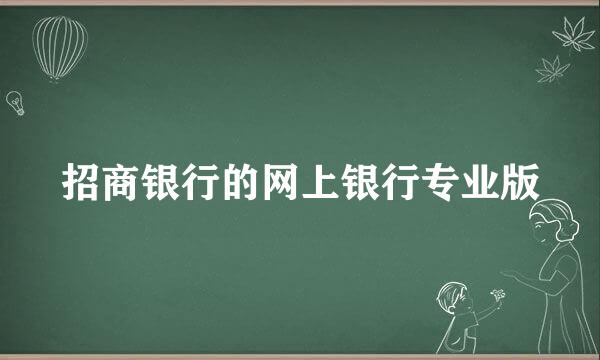 招商银行的网上银行专业版