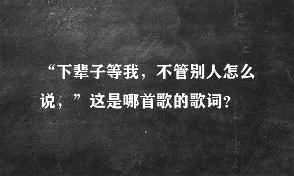 “下辈子等我，不管别人怎么说，”这是哪首歌的歌词？