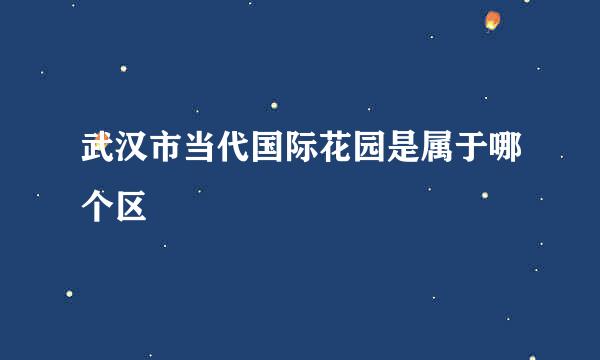 武汉市当代国际花园是属于哪个区