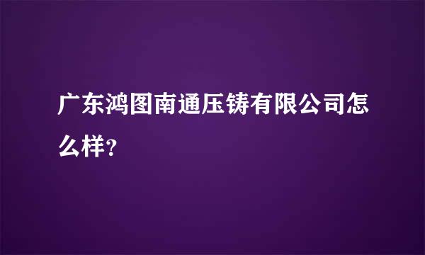 广东鸿图南通压铸有限公司怎么样？