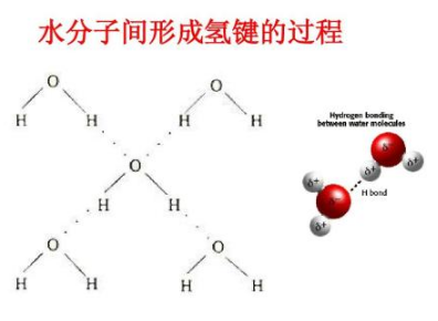 氢键是什么，有什么作用？