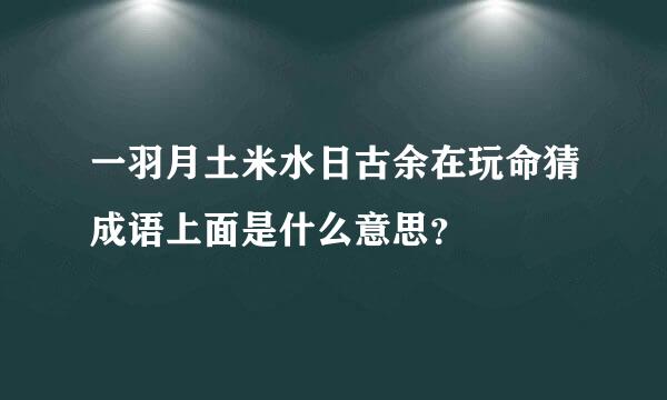 一羽月土米水日古余在玩命猜成语上面是什么意思？