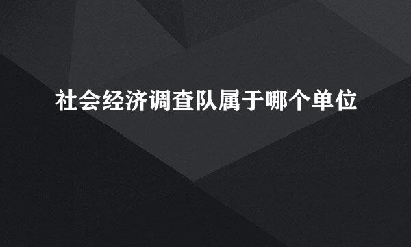 社会经济调查队属于哪个单位